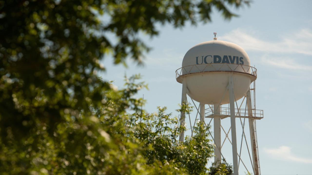 The water  tower with greenery in the foreground