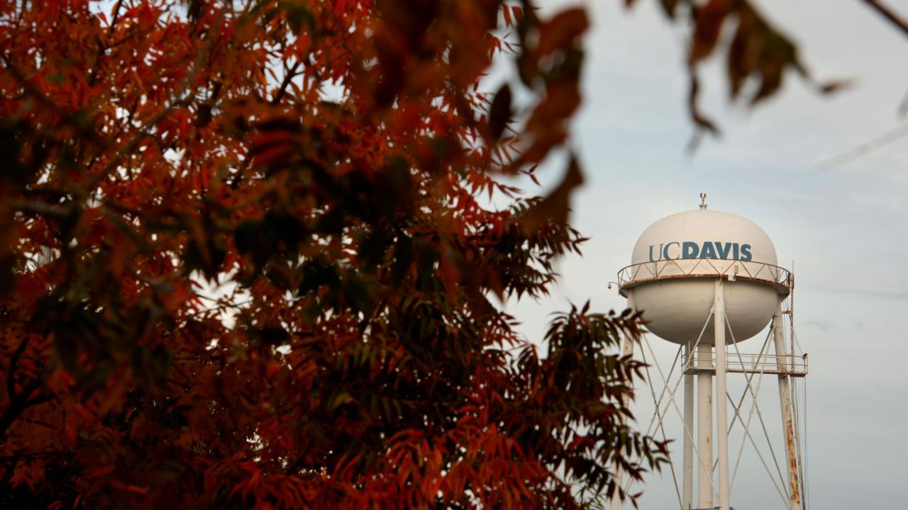 "UC Davis" water tower, with fall foliage in the foreground