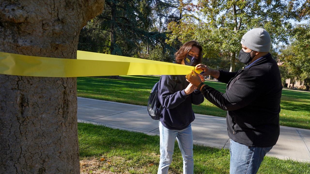 Man and woman tie yellow ribbon around tree.