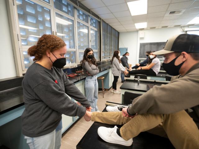 Two students look at how the ankle muscles work in a class exercise.