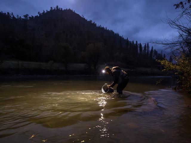 Dusk photo: person kneeling at riverbank, headlamp beam illuminating water