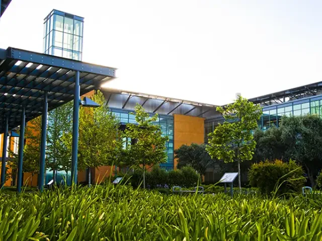 Sunlit glass office courtyard with trees and landscaped greenery