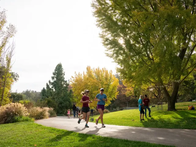 Two joggers on a sunny park path with autumn trees and two walkers nearby