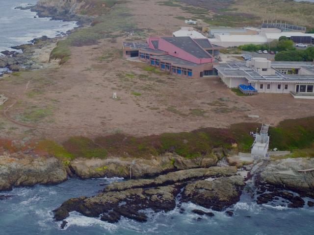 Aerial view of the UC Davis Bodega Marine lab