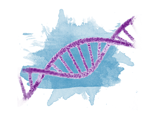 Double helix of DNA