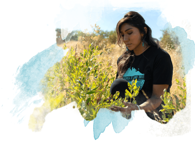 Confronting Climate Anxiety | UC Davis