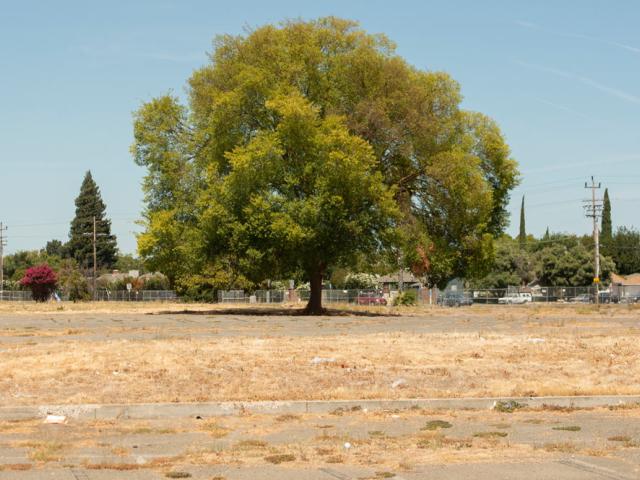 Arid landscape