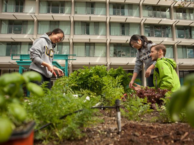 Resident Garden