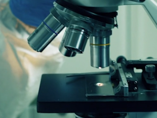 microscope closeup 