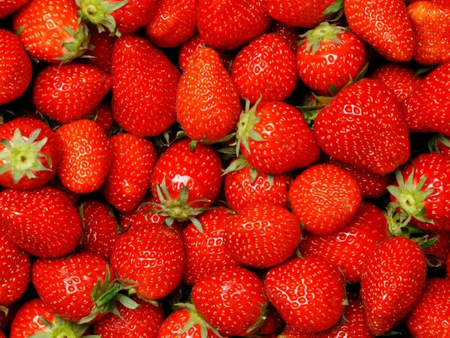 Close-up photograph of ripe red strawberries with green leaves