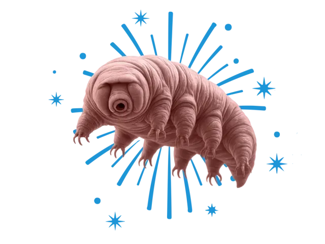 3D graphic of pink tardigrade with blue starburst background