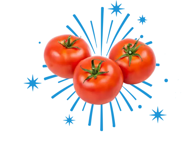 Illustration of three ripe tomatoes with a blue starburst background