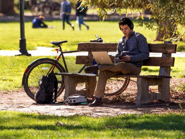 student sitting on a bench in the quad studying - freshman application tips