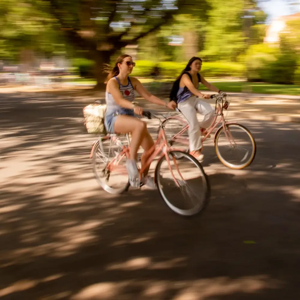 Two women joyfully riding bicycles side-by-side on a sunlit, tree-lined street with motion blur.