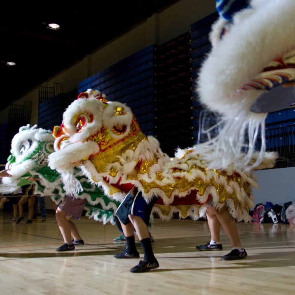 Students practice in the dancing lion dance club at UC Davis