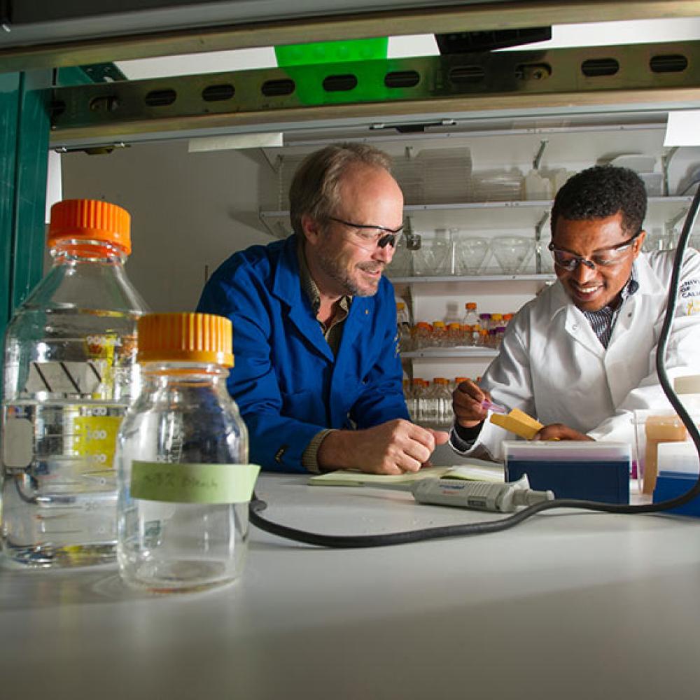 Two male researchers investigate their results in a lab