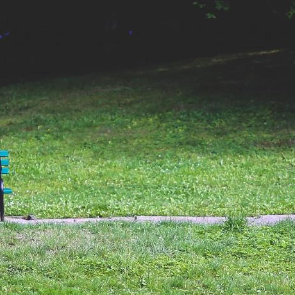 two people talking on a bench in a park