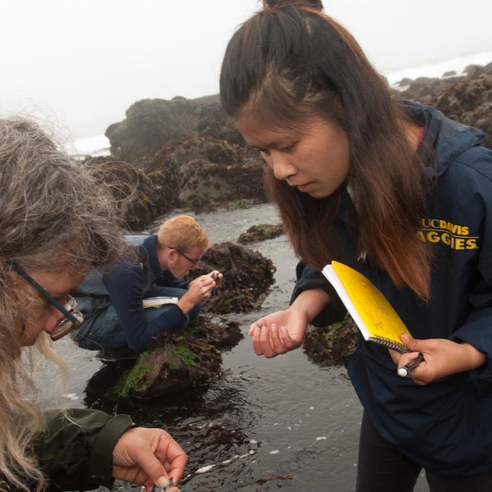 A student and her professor examine a sample collected from a tide pool at Bodega Bay Marine lab