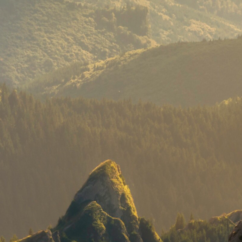 person on top of mountain