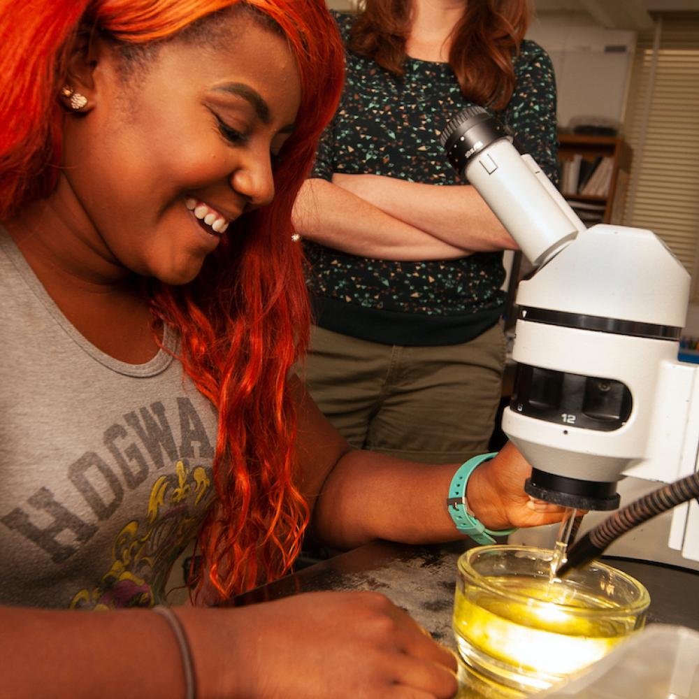 Systems and Synthetic Biology at UC Davis