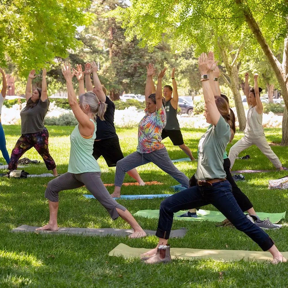 A group of faculty and staff doing yoga outside on the grass