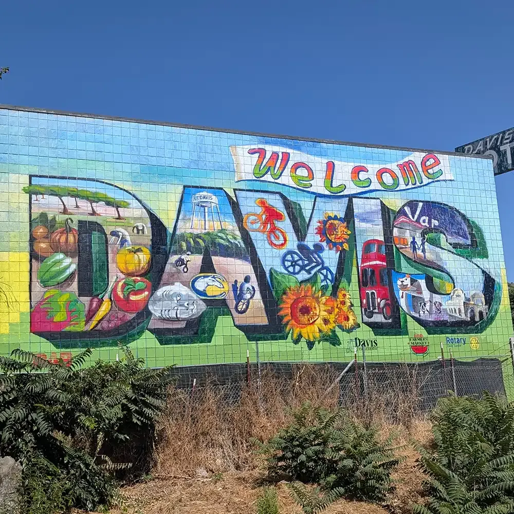 mural with Davis iconography