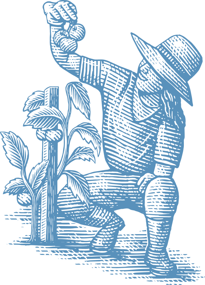 Blue graphic of a kneeling person reaching toward a flowering plant