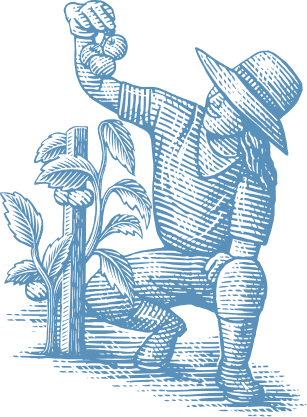 Blue silhouette graphic of a kneeling gardener pouring water on flowering plants