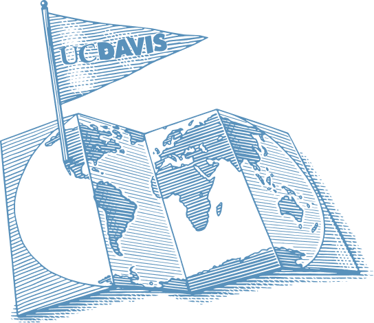 Blue distressed graphic of an open book with a small triangular flag