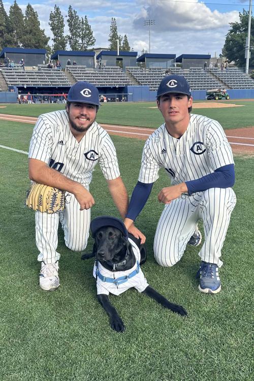 Two baseball players in pinstripes kneel on a field with a black dog in a matching jersey