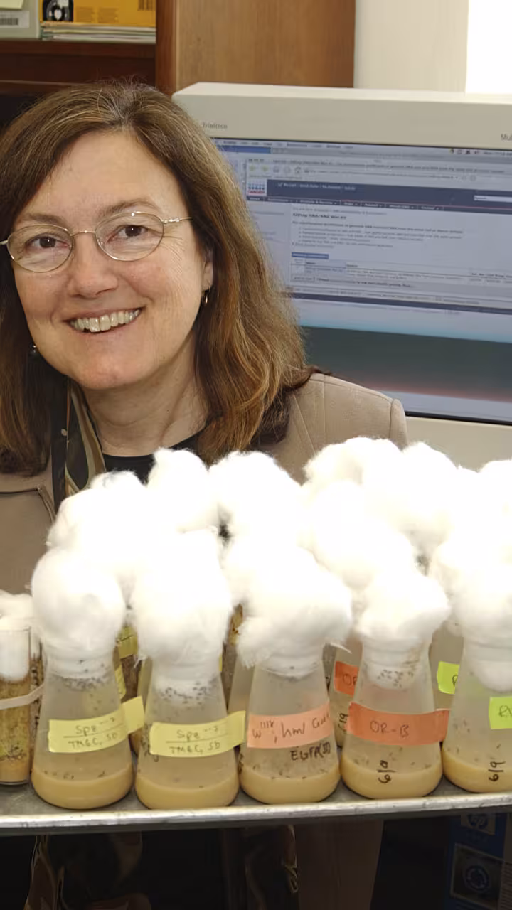 Kimbrell with fruit flies