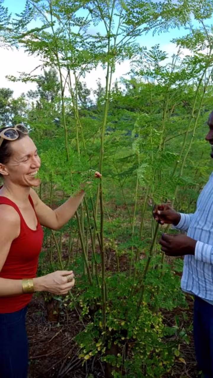 Prof. Waterman in Moringa field with man