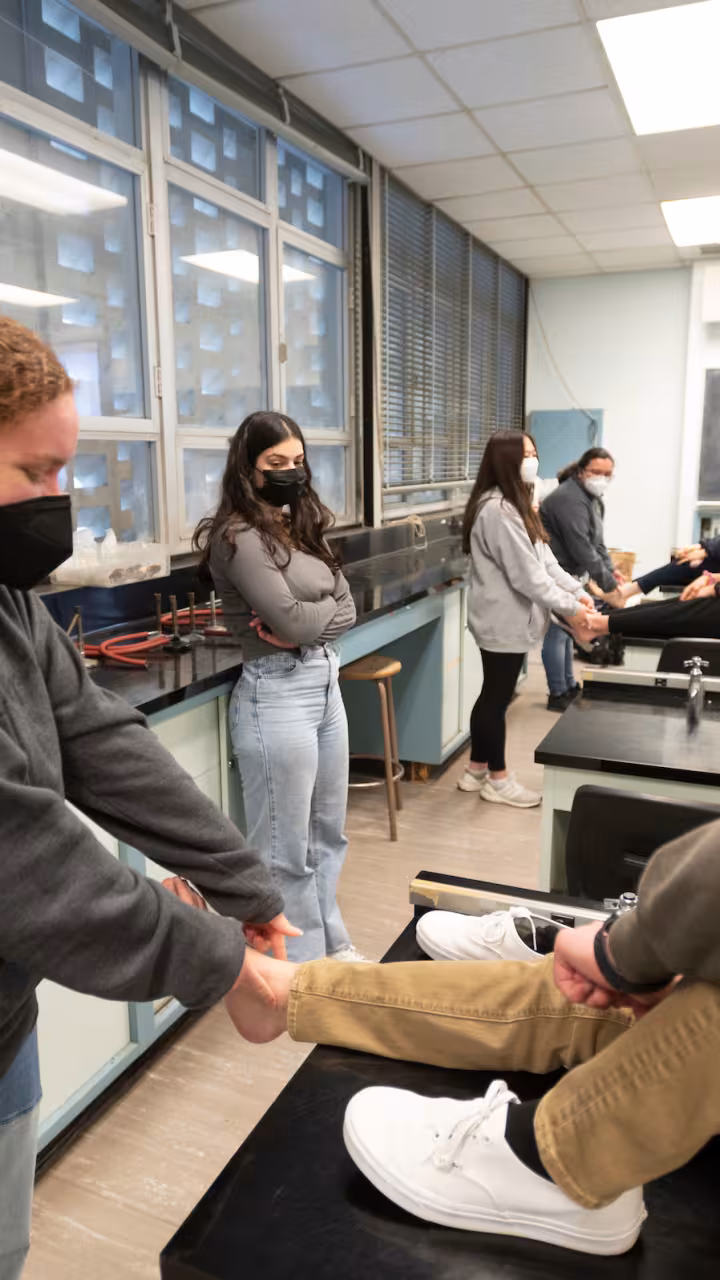 Two students look at how the ankle muscles work in a class exercise.