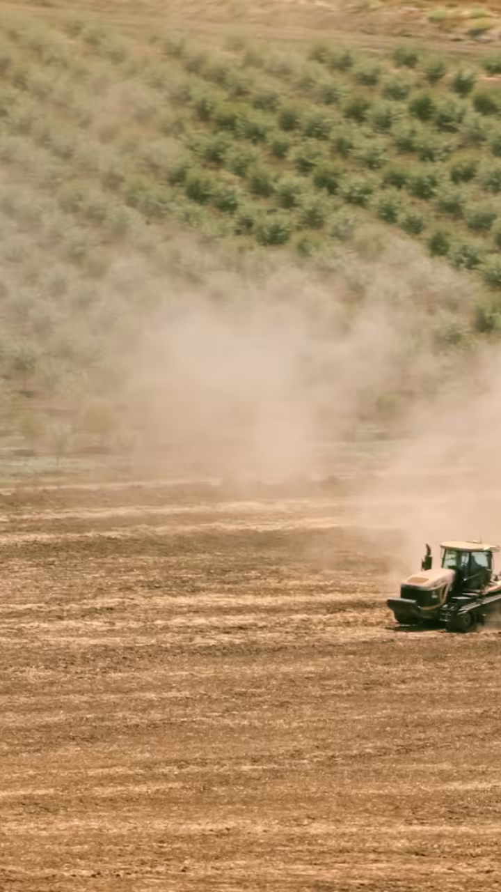 Aerial view of a tractor pulling a plough across a fallowed farm field next to almond orchards in the Central Valley. Valley fever is spreading across the arid west as climate change creates the ideal conditions for the fungus to spread. (Getty)