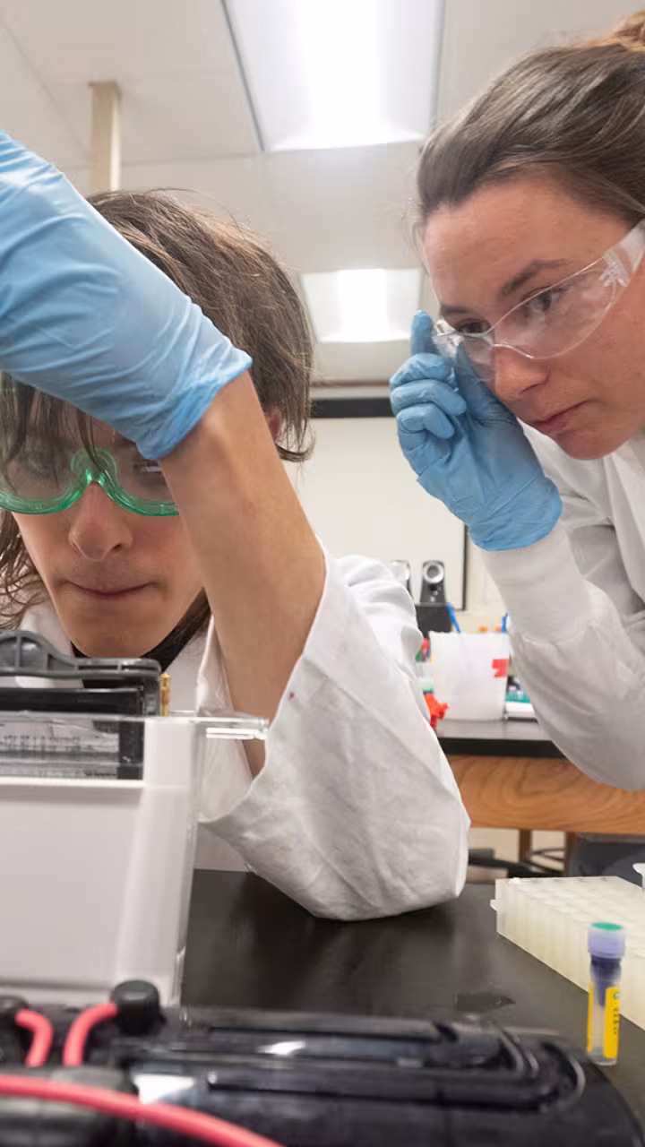 Two people in lab coats with pipette in lab environment