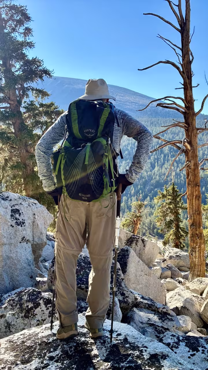 Hugh Safford stands with back to camera, hands on hips, overlooking mountains and forests searching for Jeffrey pine