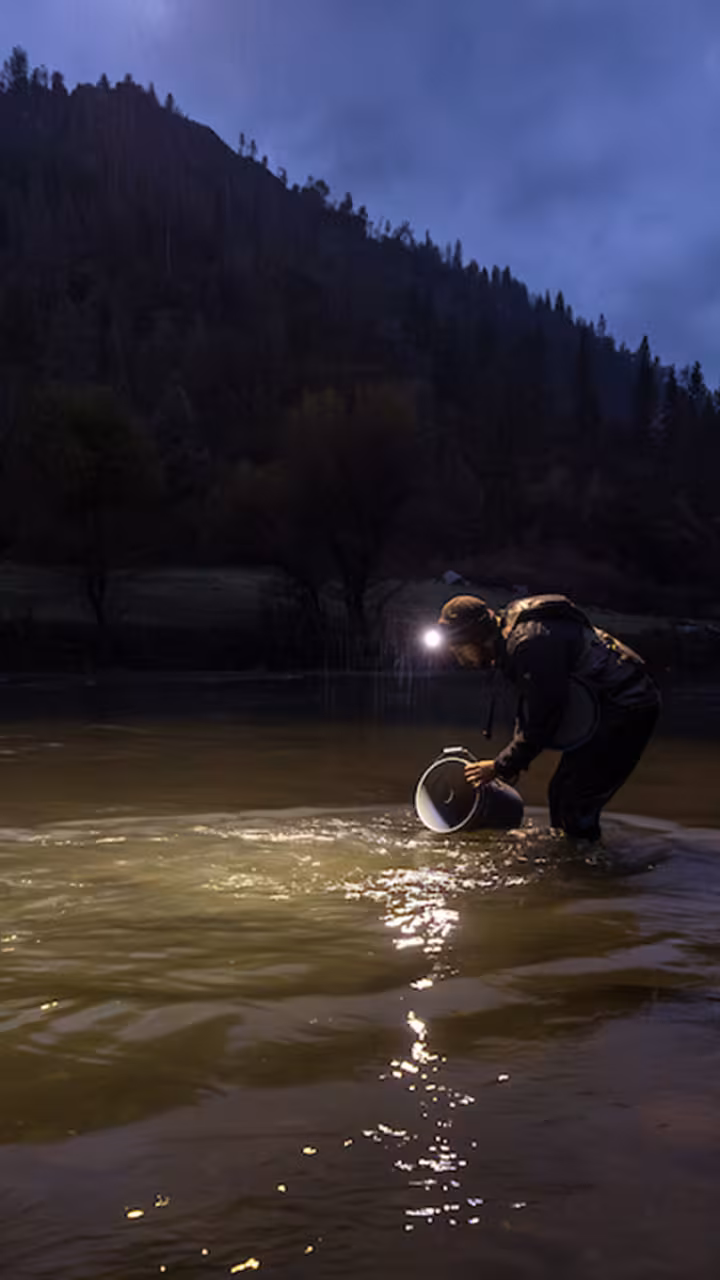 Dusk photo: person kneeling at riverbank, headlamp beam illuminating water