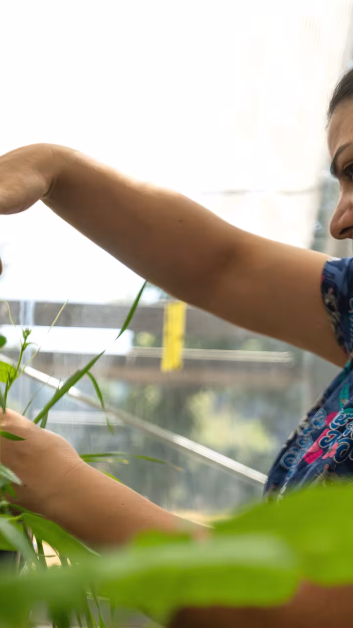 Pershang Hosseini examines a specimen in her lab