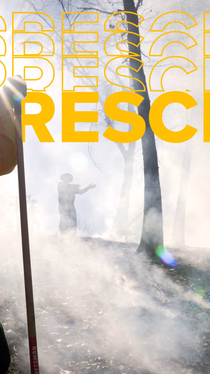 Woman in firefighting yellow shirt and hard hat holds hand to forehead against glare of sun and smoky woods during prescribed burn