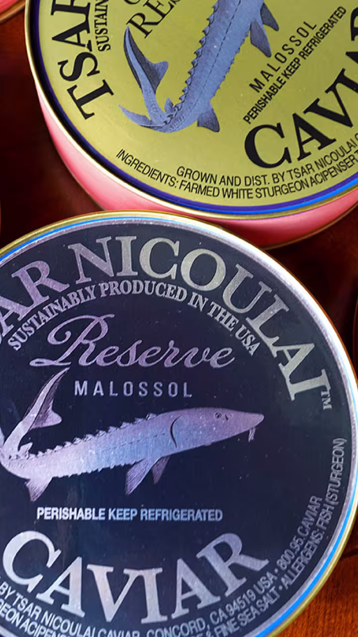 cans of caviar