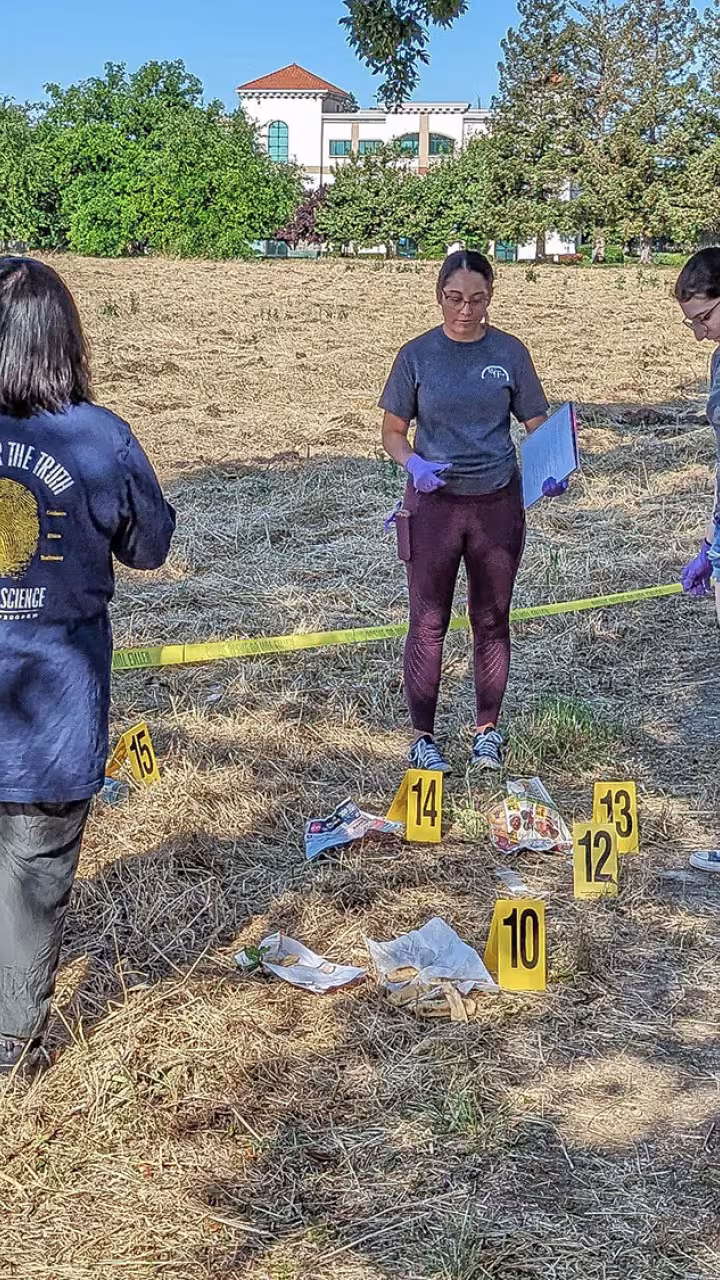 People in a sunny field examining numbered yellow evidence markers