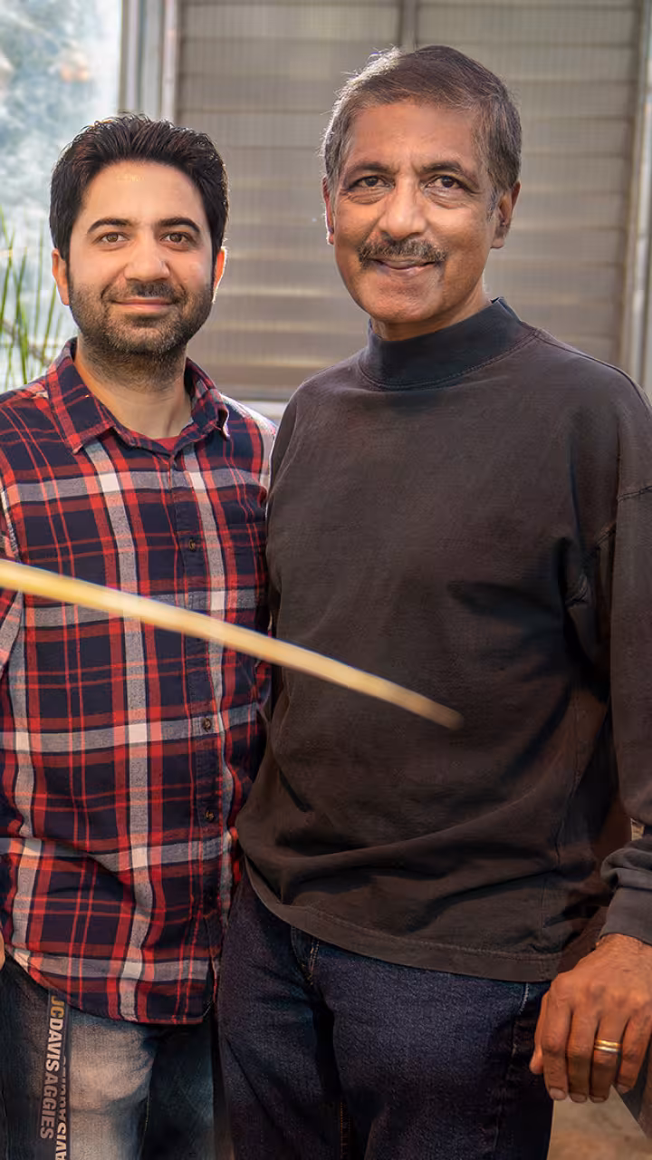 Two researchers stand inside a greenhouse