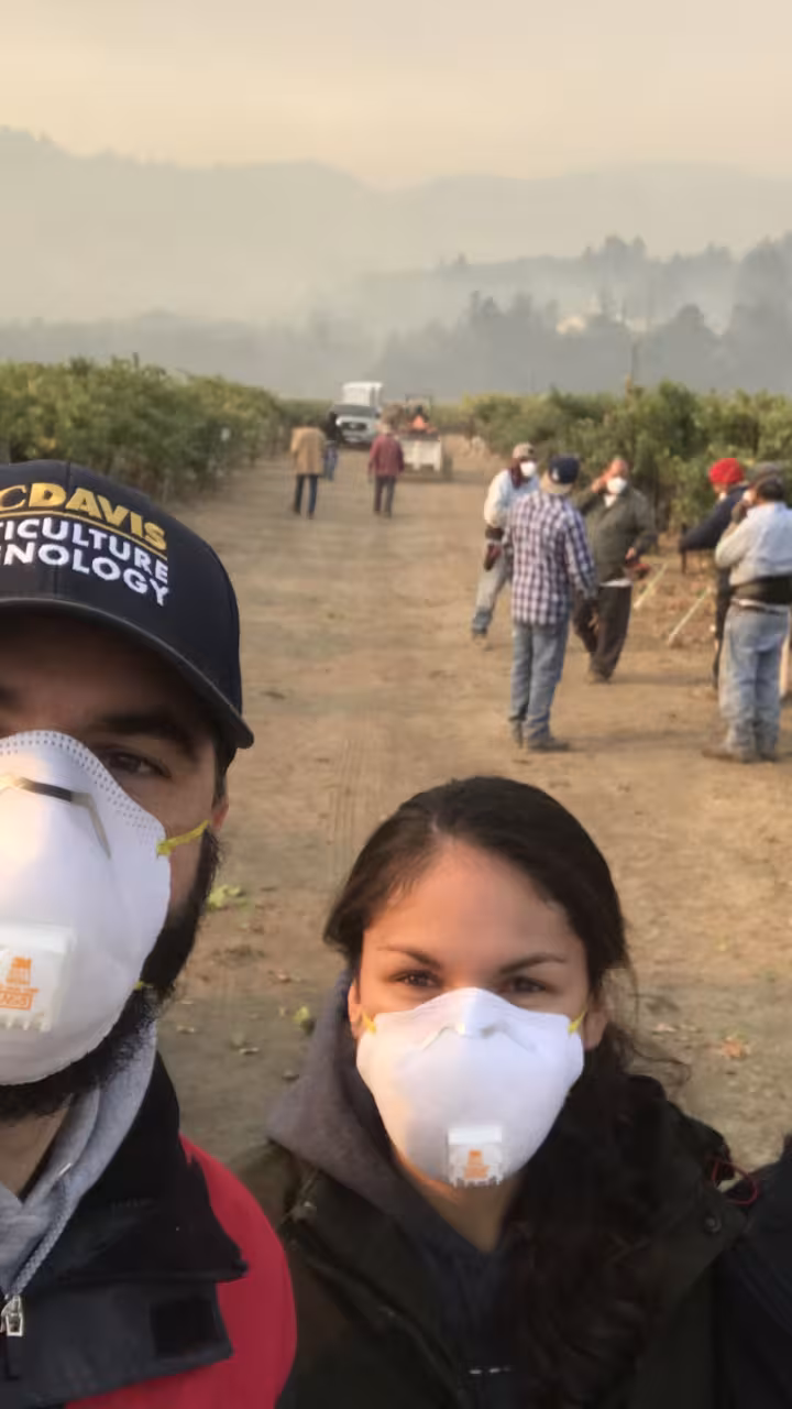 Three people with masks stand in a smoky vineyard