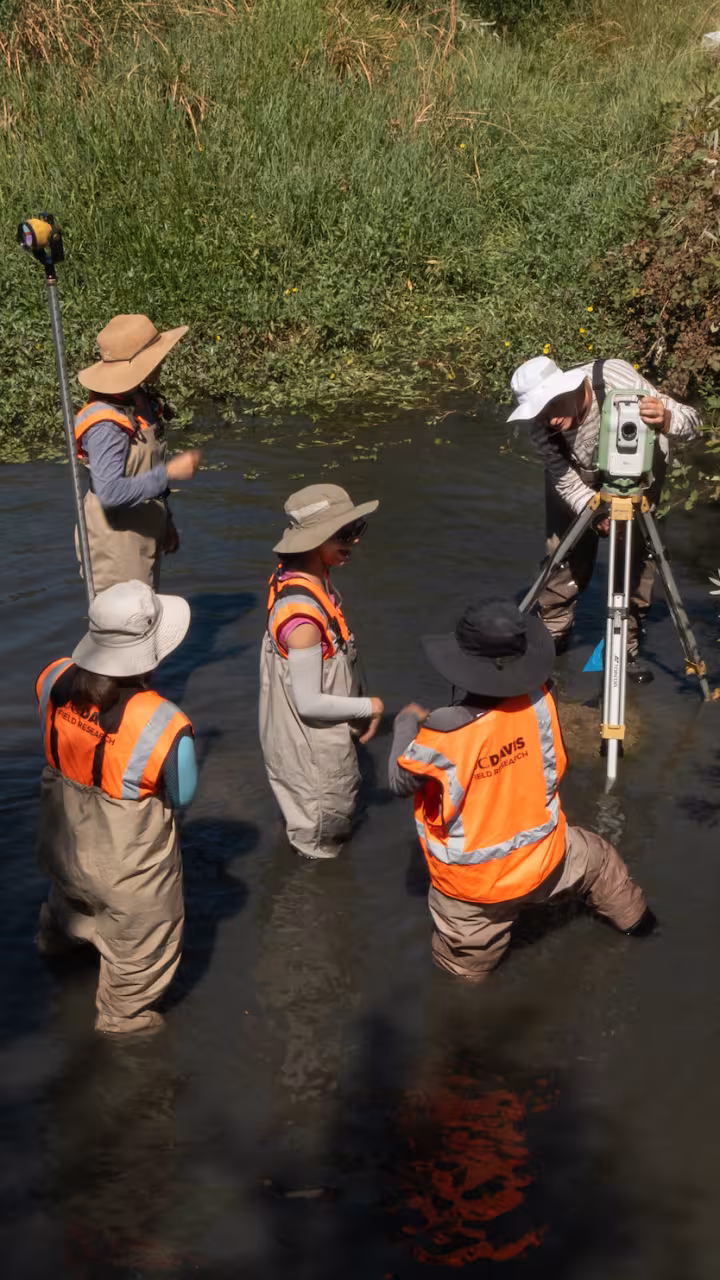 UC Davis researchers photographed from above a creek conduct a stream survey in the water wearing bright orange vests