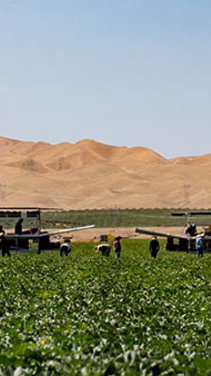 Farmland
