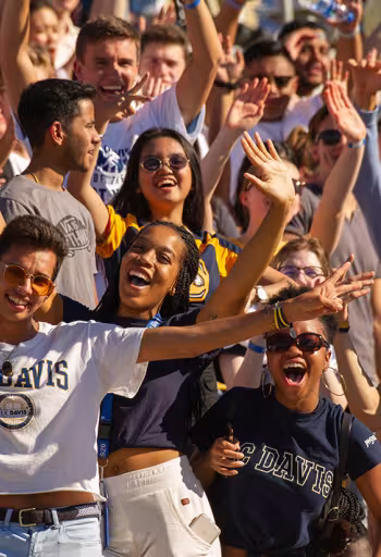Fans cheer at a football game.
