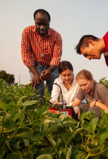 Faculty member and students in agricultural field