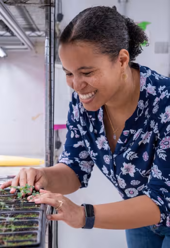 Smiling Brandie Quarles-Chidyagwai tends seedling trays under grow lights in a greenhouse lab