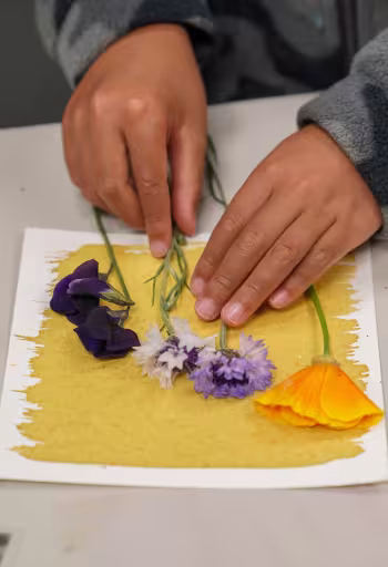 Child's hands arranging purple and orange pressed flowers on yellow paper