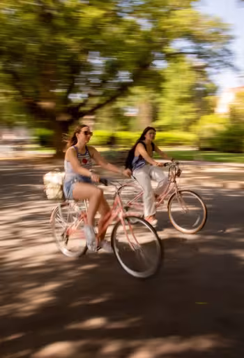 Two cyclists riding on a sunny, tree-lined neighborhood street, motion blur.